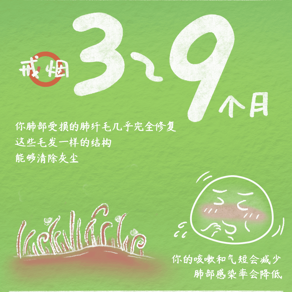 图片[12]-戒烟后，我后悔了！-不戒烟